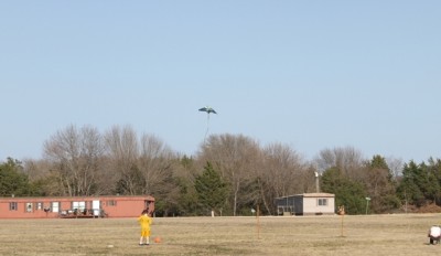 flying kites in field 